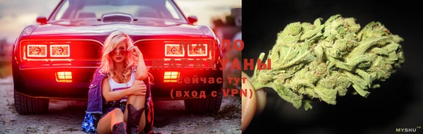 тгк Саяногорск