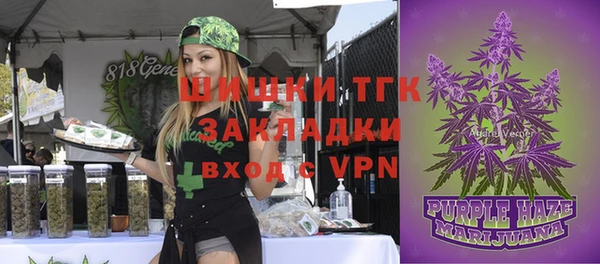 амф Сафоново