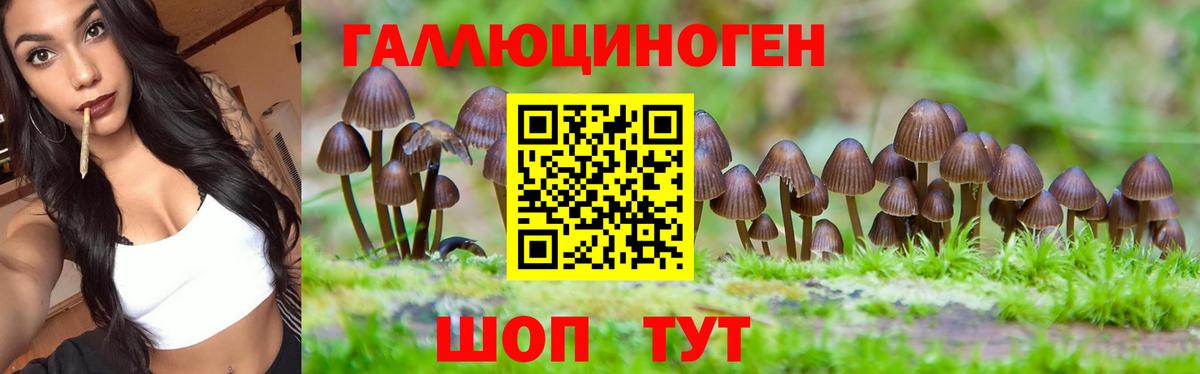 Галлюциногенные грибы MAGIC MUSHROOMS  Вход с VPN  Когалым 