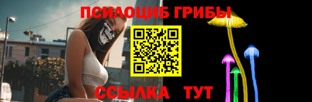 Псилоцибиновые грибы Psilocybe Когалым